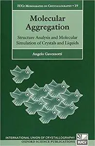 Molecular Aggregation: Structure Analysis and Molecular Simulation of Crystals and Liquids