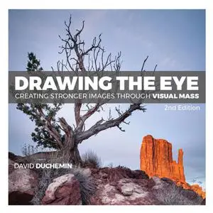 Drawing The Eye: Creating Stronger Images Through Visual Mass, 2nd Edition