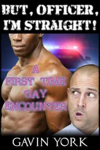 «But Officer, I'm Straight» by Gavin York