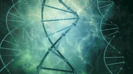 BBC Panorama - Medicine's Big Breakthrough: Editing Your Genes (2016)