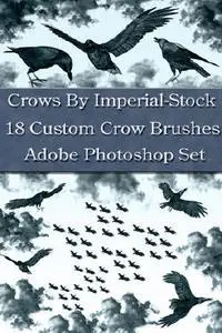 Crow Brushes for Photoshop
