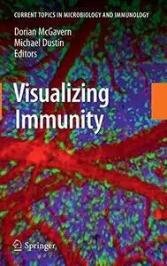 Visualizing Immunity