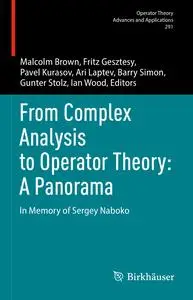 From Complex Analysis to Operator Theory - a Panorama