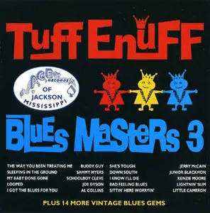 VA - The Ace Blues Masters Vol.1-4 (1998/99)