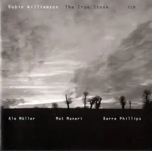 Robin Williamson - The Iron Stone (2006)