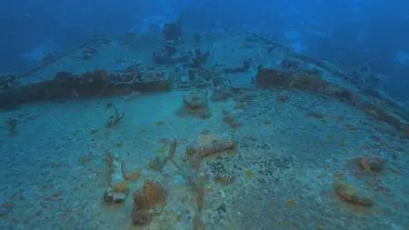 Smithsonian Earth - Reef Wrecks: Series 1 (2016)