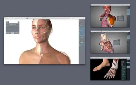 Essential Anatomy v5.0.5 macOS