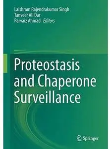 Proteostasis and Chaperone Surveillance [Repost]