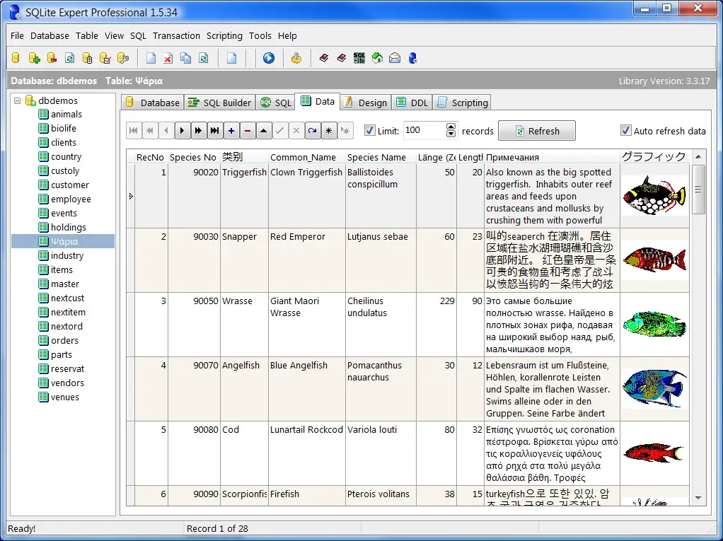 Sqlite3 viewer. СУБД SQLITE. База данных SQLITE. SQLITE Expert professional. SQLITE программа.