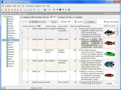 SQLite Expert Professional v2.0.42.1860