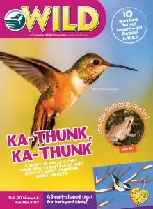 Wild Magazine for Kids - February-March 2017