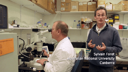 Our Genes Under Influence (2015)