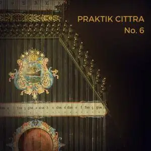 Precisionsound Praktik Cittra No 6 KONTAKT