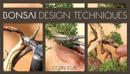 Bonsai Design Techniques