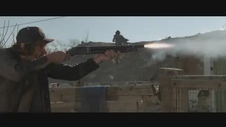 The Border (1982)