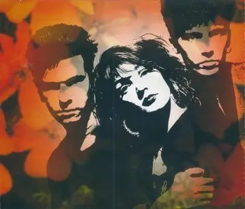The Primitives - Thru The Flowers: The Anthology (2004)