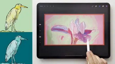 Mindful Colouring: Create Playful Art on Procreate