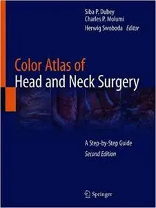 Color Atlas of Head and Neck Surgery: A Step-by-Step Guide Ed 2