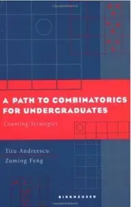 A Path to Combinatorics for Undergraduates: Counting Strategies (repost)