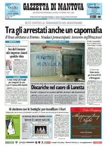 LA GAZZETTA DI MANTOVA 10 GIUGNO 2010
