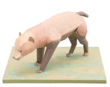 Bush Dog, Paper Craft Model
