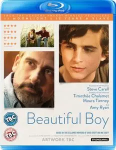 Beautiful Boy (2018)