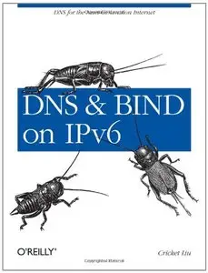DNS and BIND on IPv6 [Repost]