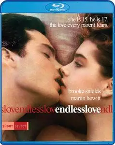 Endless Love (1981) [w/Commentary]