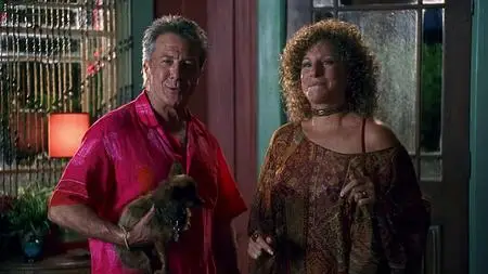 Meet the Fockers (2004)