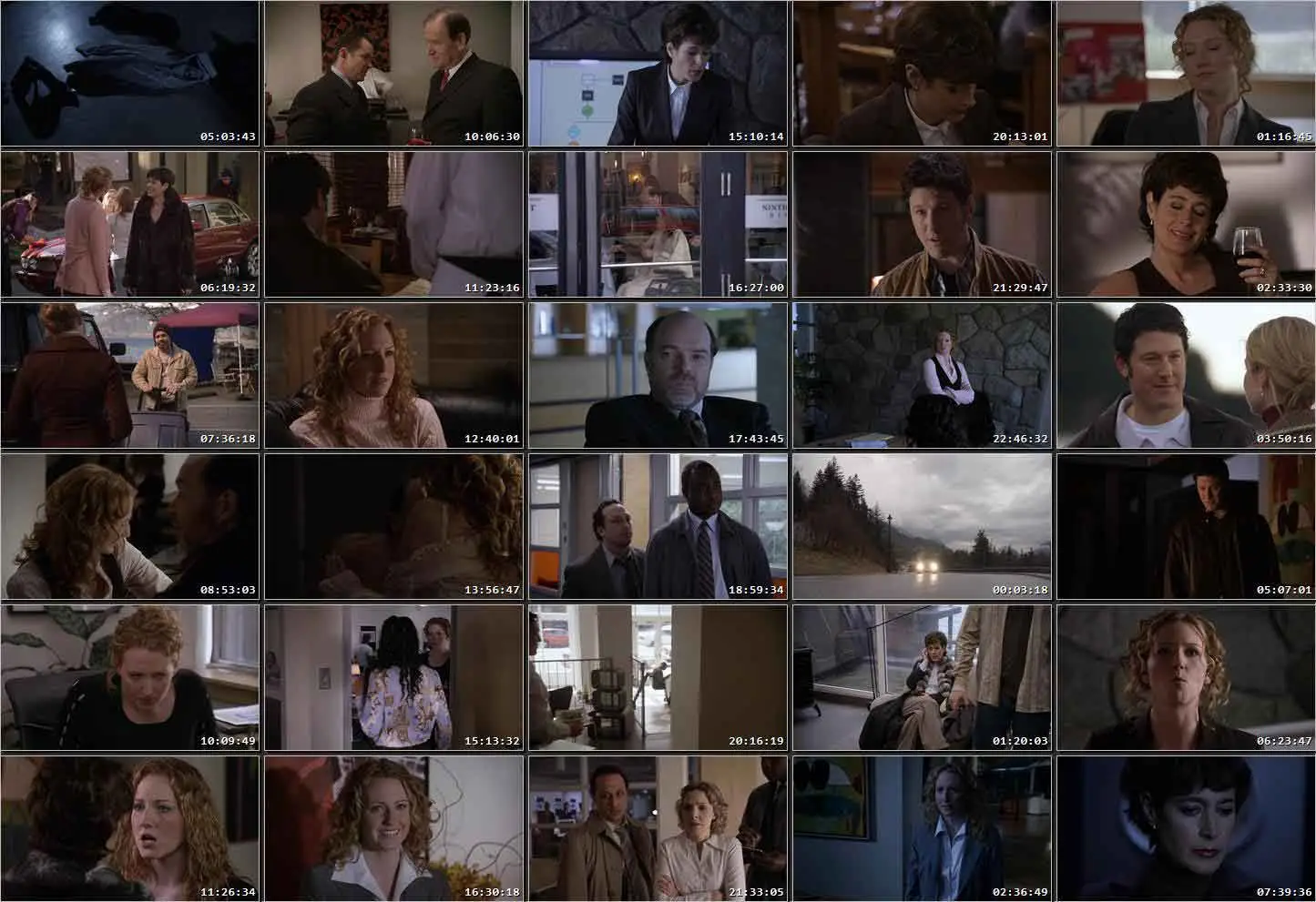 A Job to Kill For (2006)