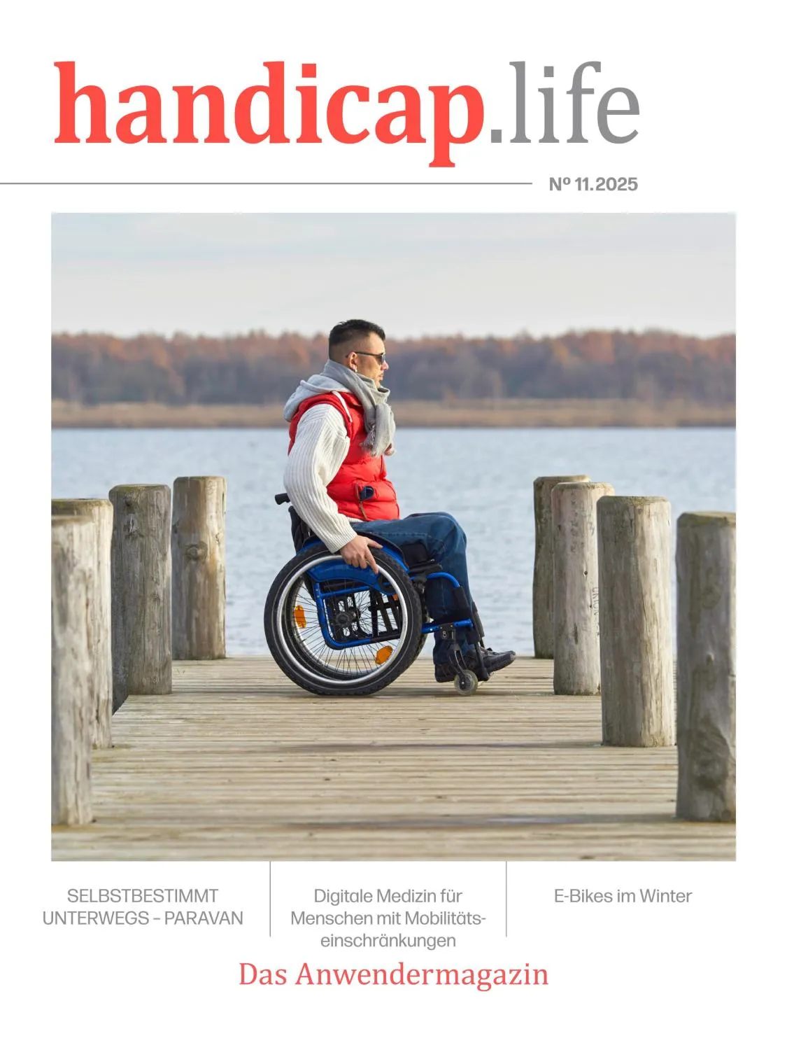 handicap.life - November 2025