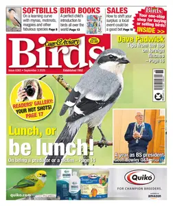 Cage & Aviary Birds - 3 September 2025