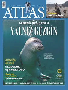 Atlas - 1 Kasım 2024