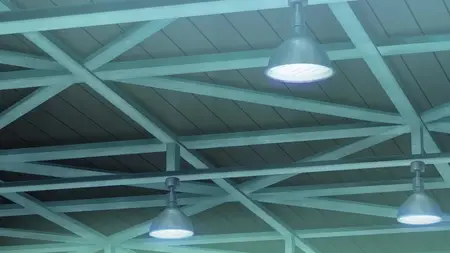 Lil Miss Vampire Cant Suck Right S01E03