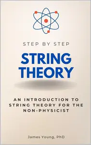 String Theory Step by Step: An Introduction to String Theory for the Non-Physicist
