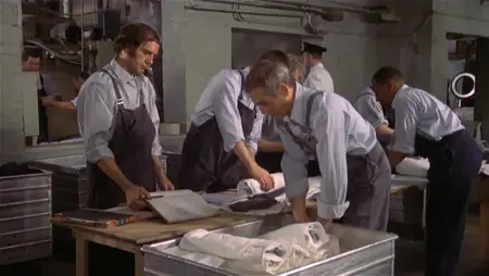 The MacKintosh Man (1973)