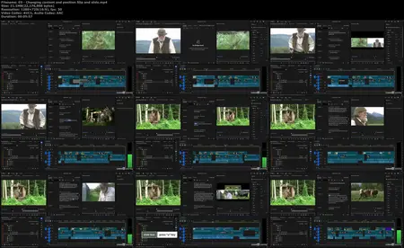 Premiere Pro 2025 Essential Training