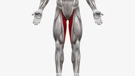 Inner Thigh Active :- 10 Exercises to Strength & Sex control