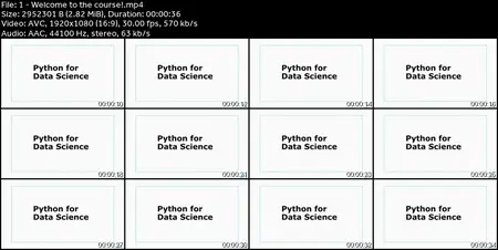 Data Manipulation in Python: Master Python, Numpy & Pandas