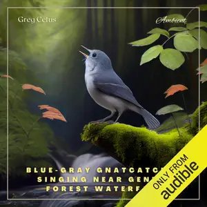Blue-gray Gnatcatcher Singing Near Gentle Forest Waterfall: Nature Sounds for Yoga and Relaxation