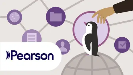 Complete Guide to Navigating Linux: Working with Users, Files, and Networks