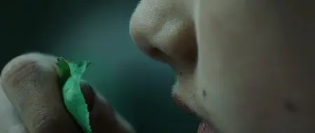 Perfume: The Story of a Murderer (2006)
