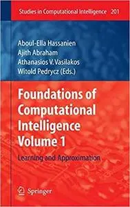 Foundations of Computational Intelligence: Volume 1: Learning and Approximation (Studies in Computational Intelligence)