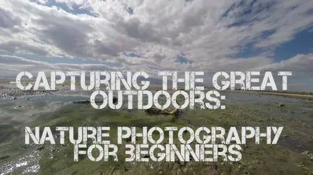 Capturing the Great Outdoors: Nature Photography For Beginners