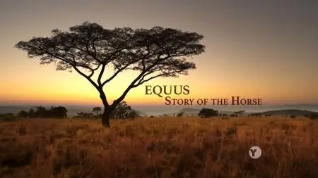 PBS Nature - Equus Story of the Horse Part 2: Chasing the Wind (2019)