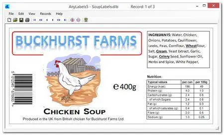 DlSoft AnyLabels 6.21