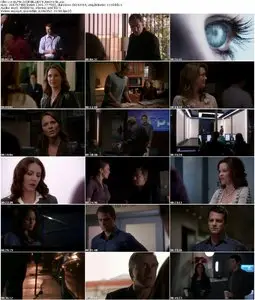 Lie to Me S03E06