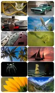 Beautiful Mixed Wallpapers Pack 916