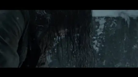 The Raid 2 (2014)