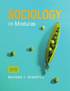 Sociology in Modules (2nd edition) [Repost]